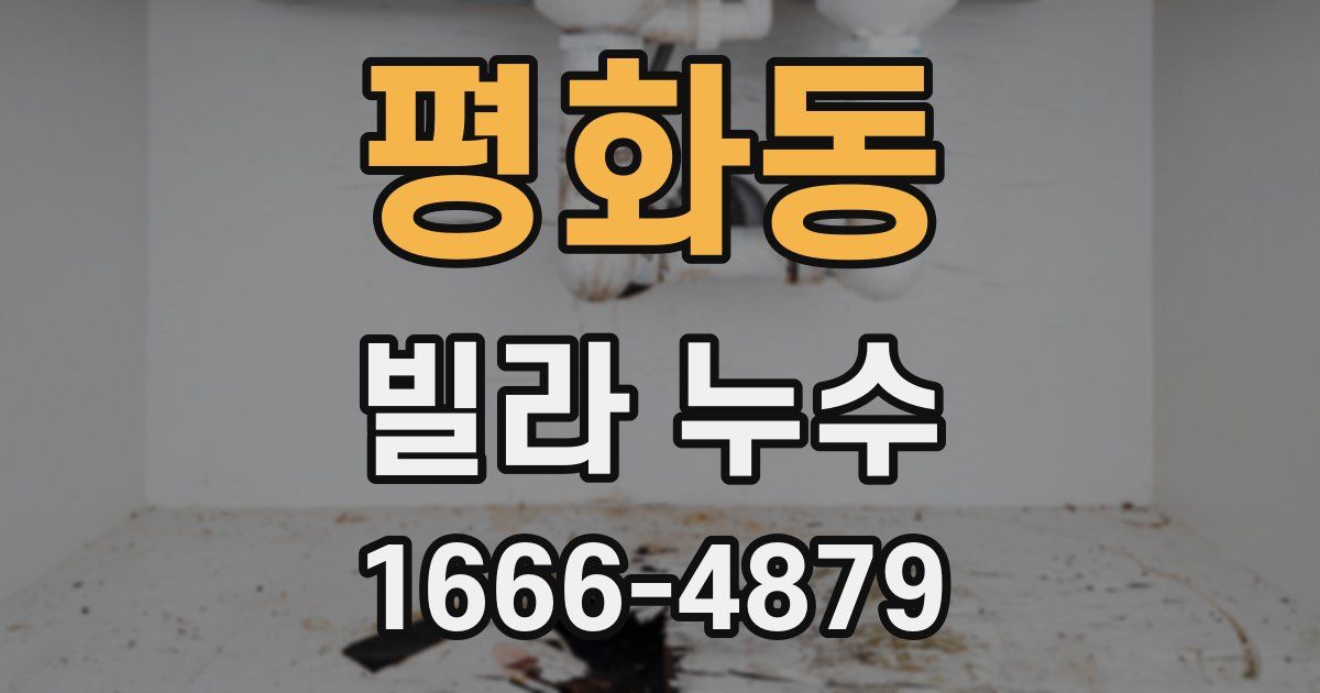 평화동 빌라 누수