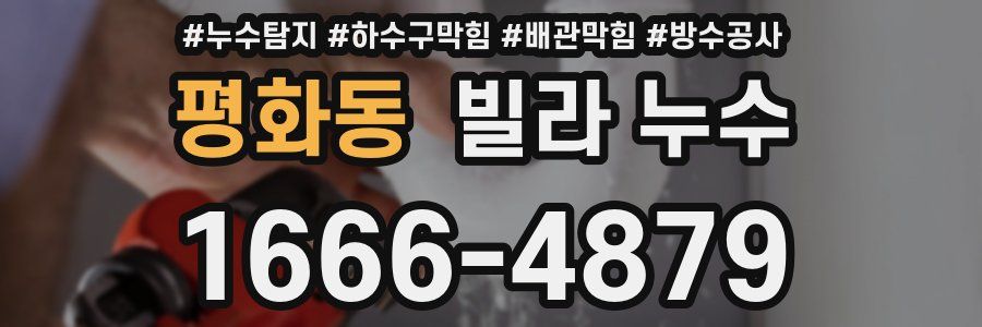 평화동 빌라 누수