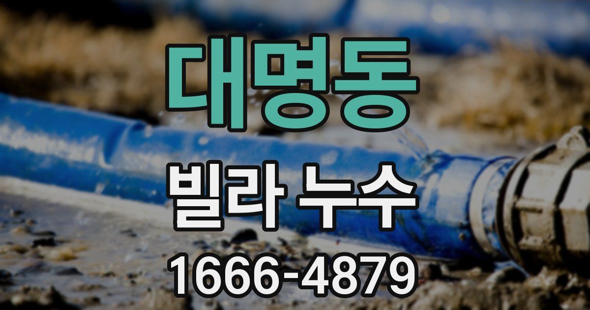 대명동 빌라 누수