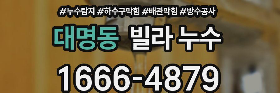 대명동 빌라 누수