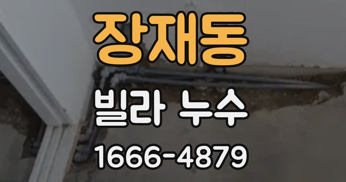 장재동 빌라 누수