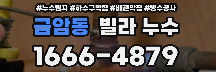 금암동 빌라 누수