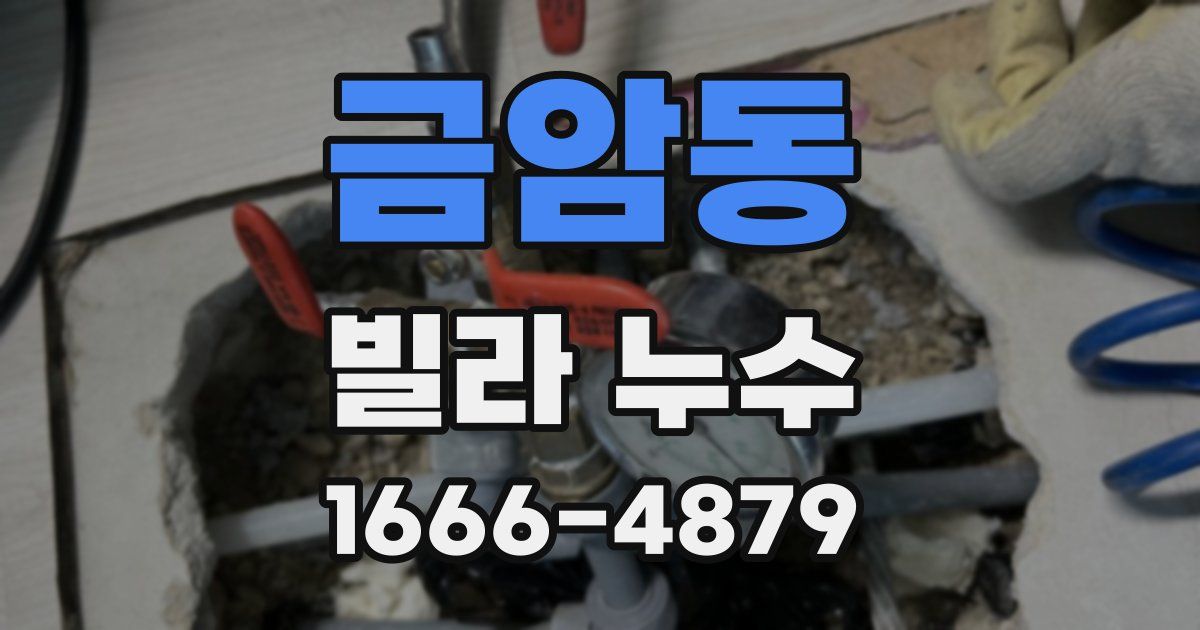 금암동 빌라 누수