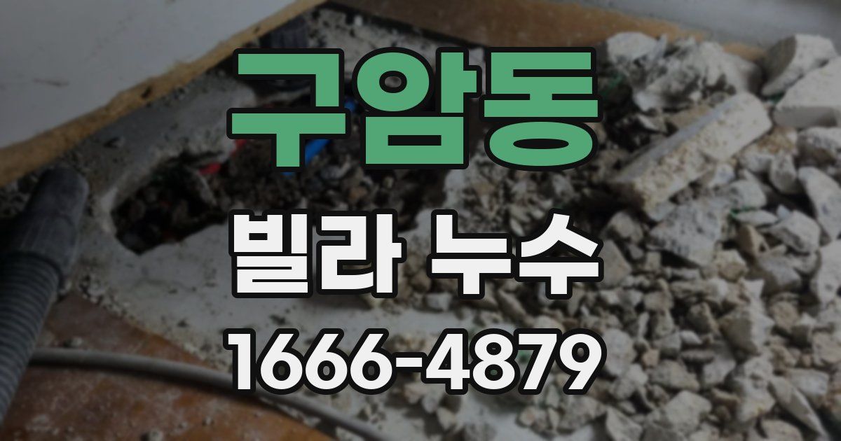 구암동 빌라 누수