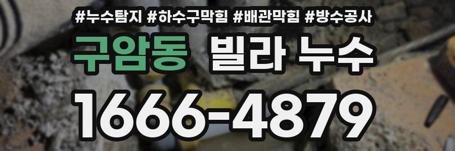 구암동 빌라 누수
