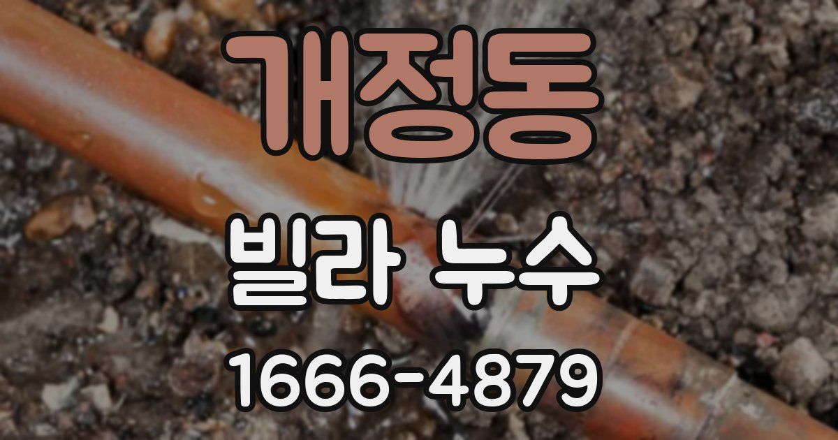 개정동 빌라 누수