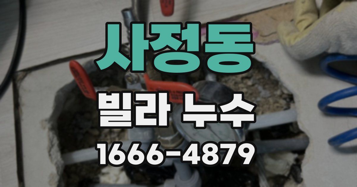사정동 빌라 누수
