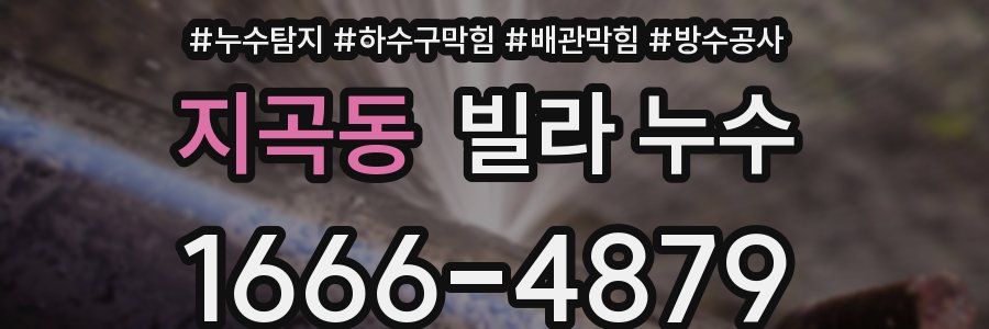 지곡동 빌라 누수