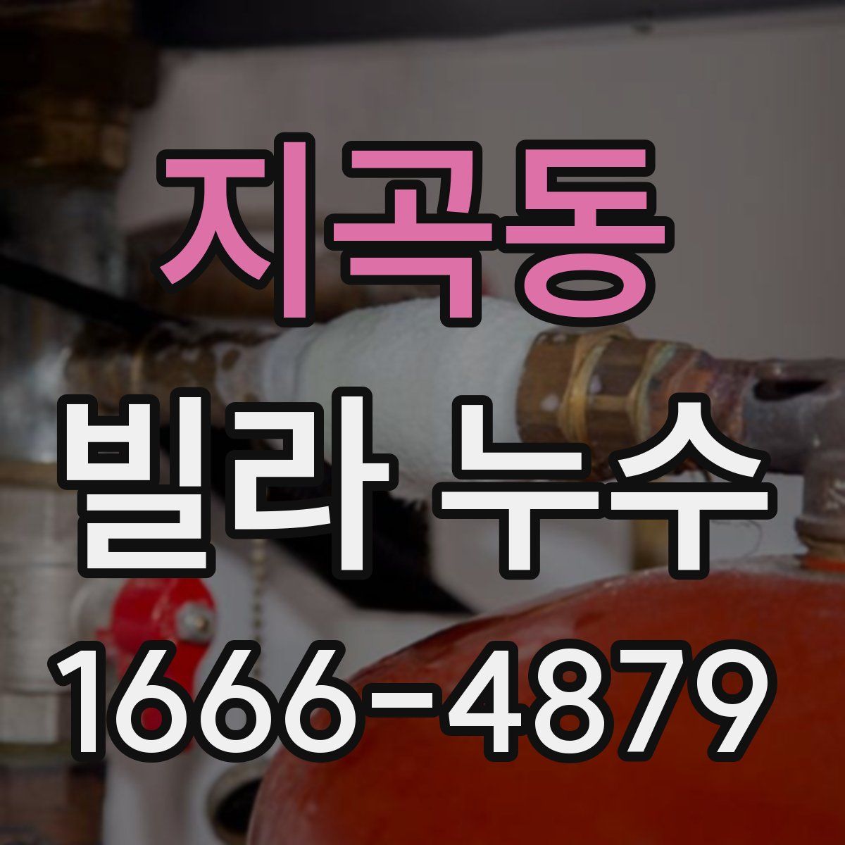 지곡동 빌라 누수