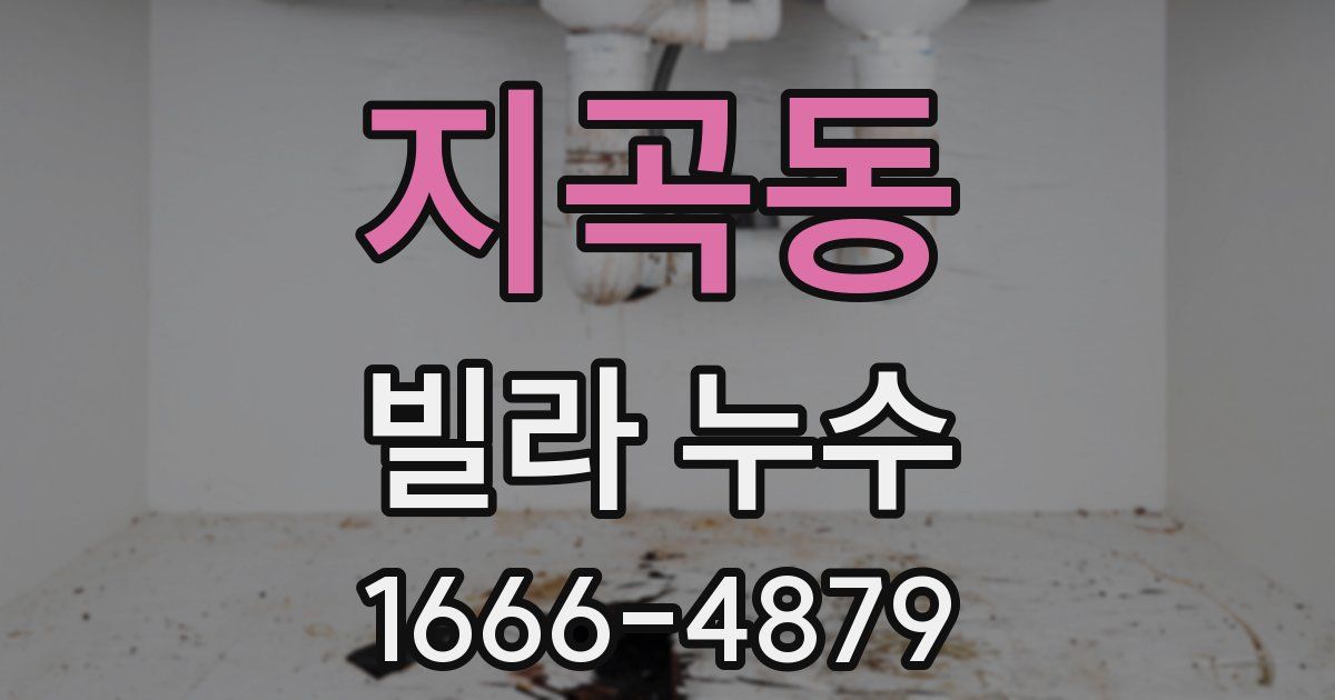지곡동 빌라 누수