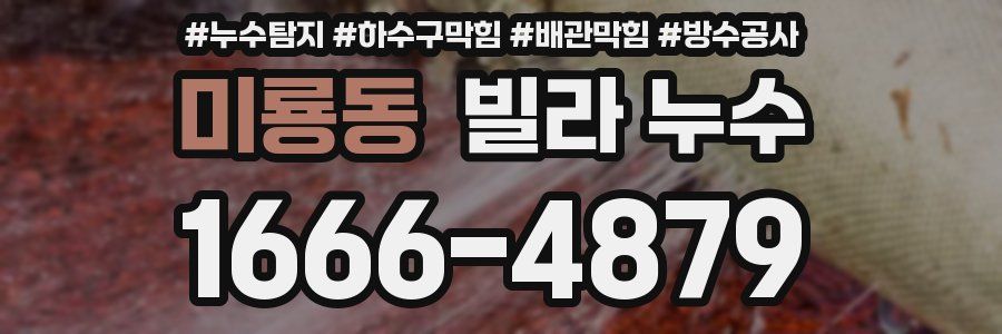 미룡동 빌라 누수