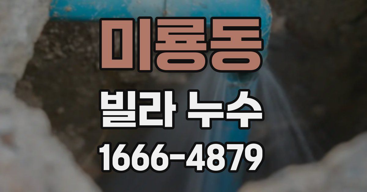 미룡동 빌라 누수