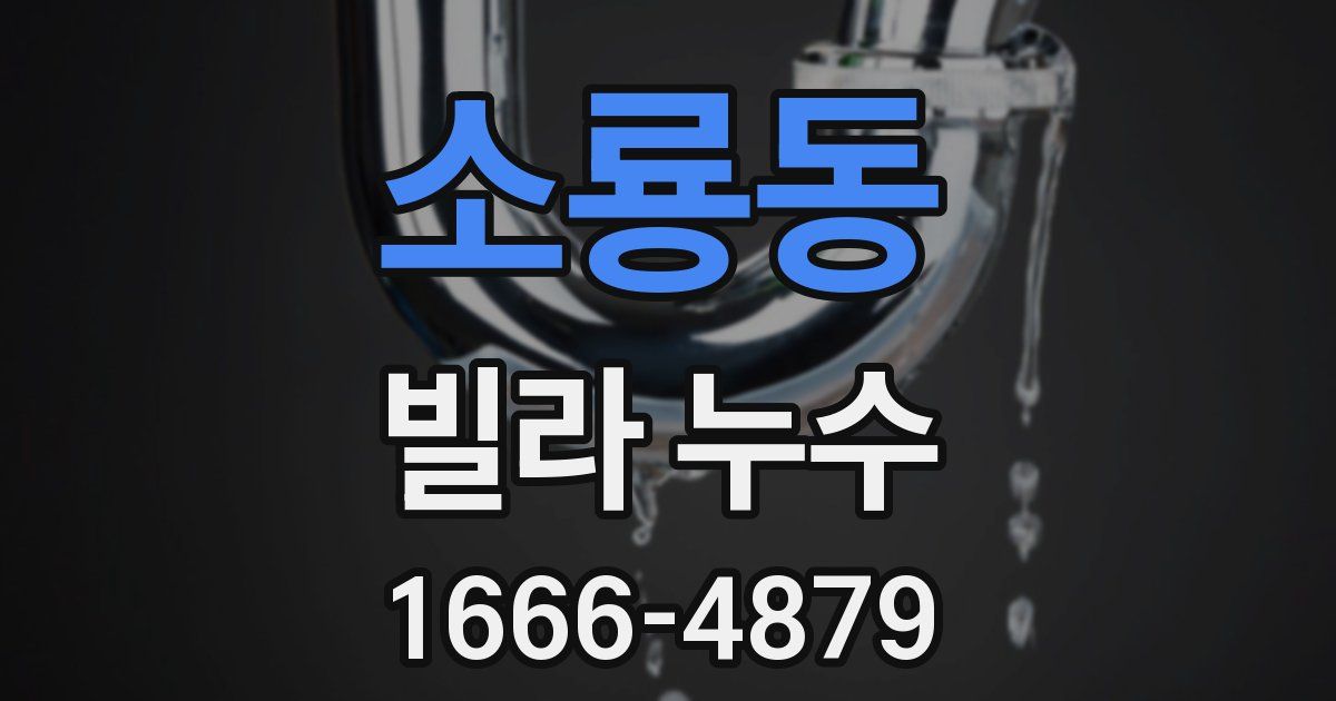 소룡동 빌라 누수