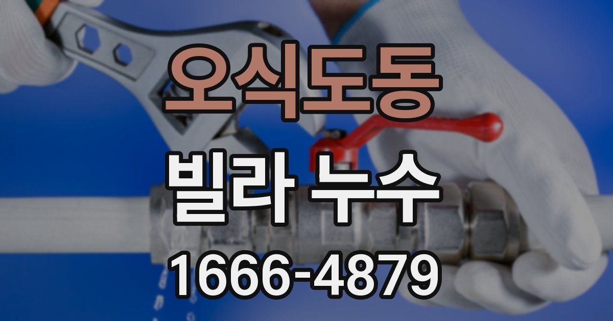 오식도동 빌라 누수