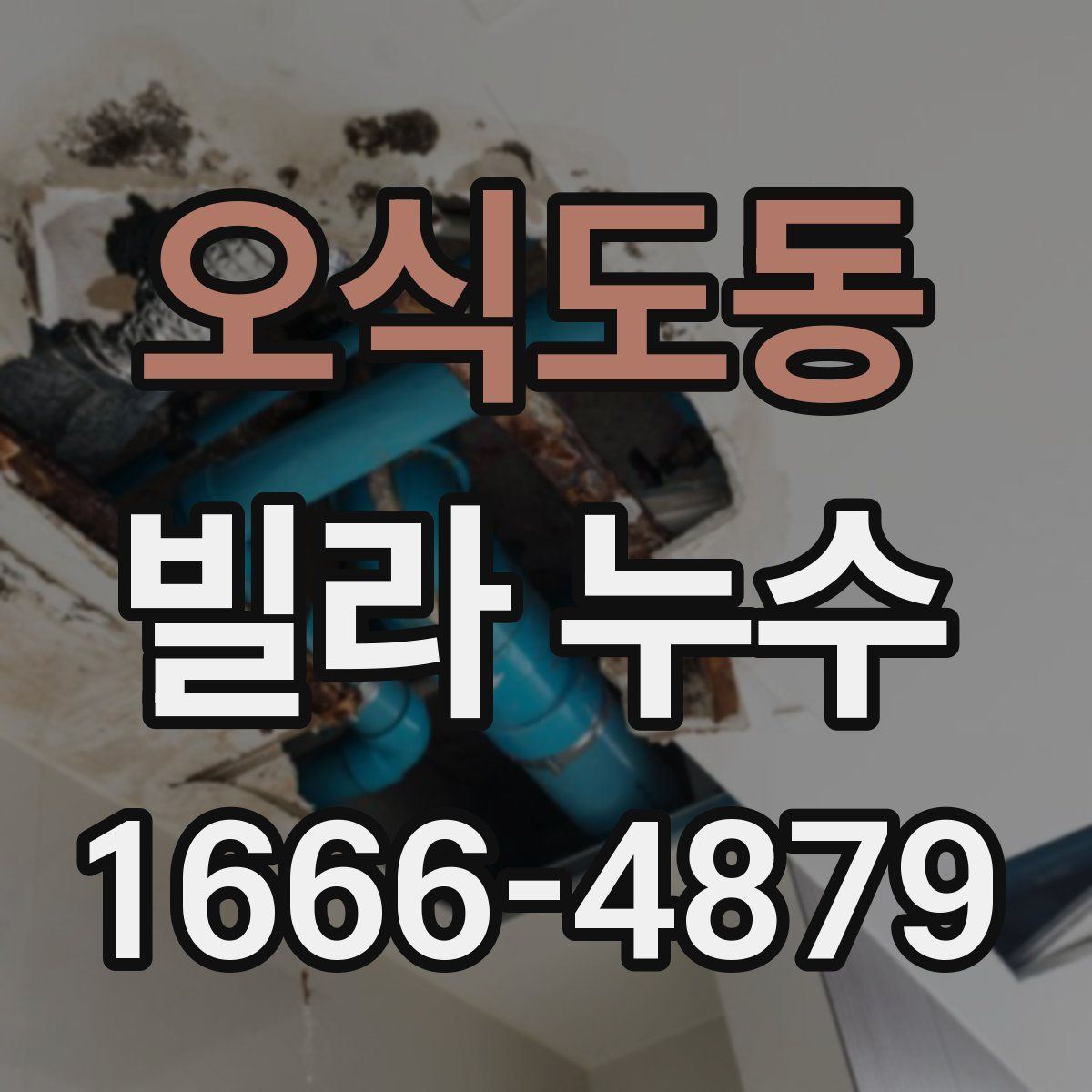 오식도동 빌라 누수
