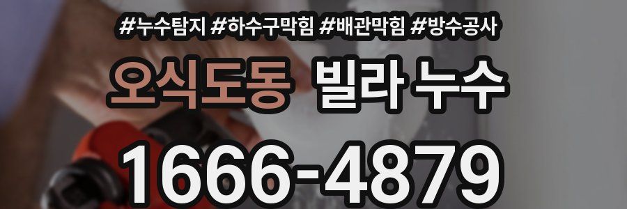 오식도동 빌라 누수