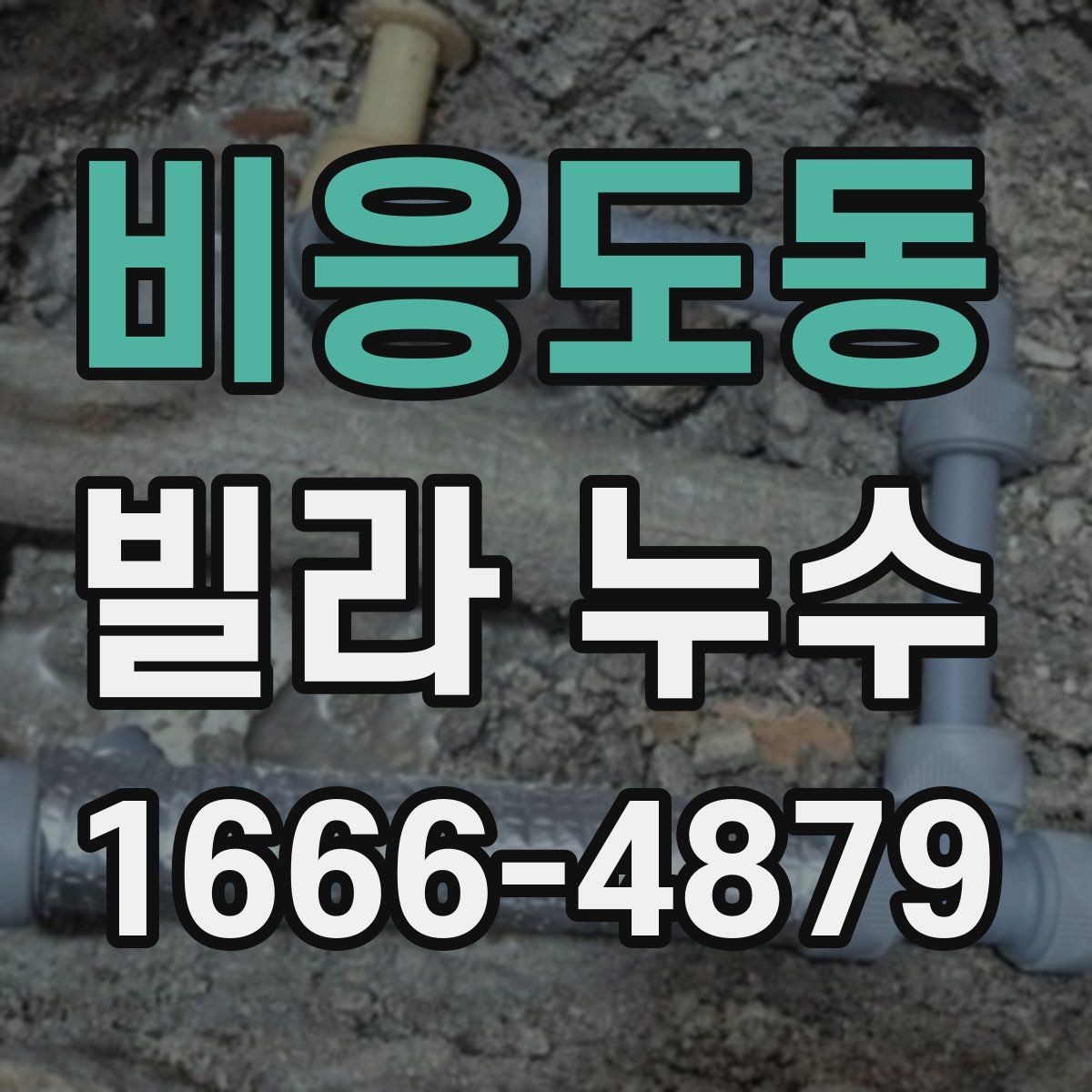 비응도동 빌라 누수 원인을 한 번에 찾기 어려운 이유