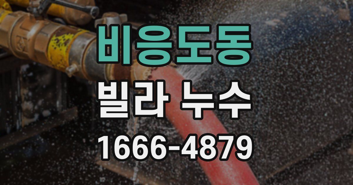 비응도동 빌라 누수