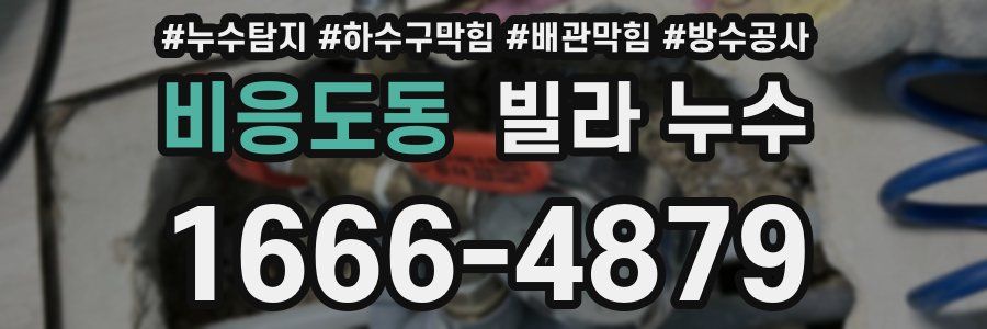 비응도동 빌라 누수