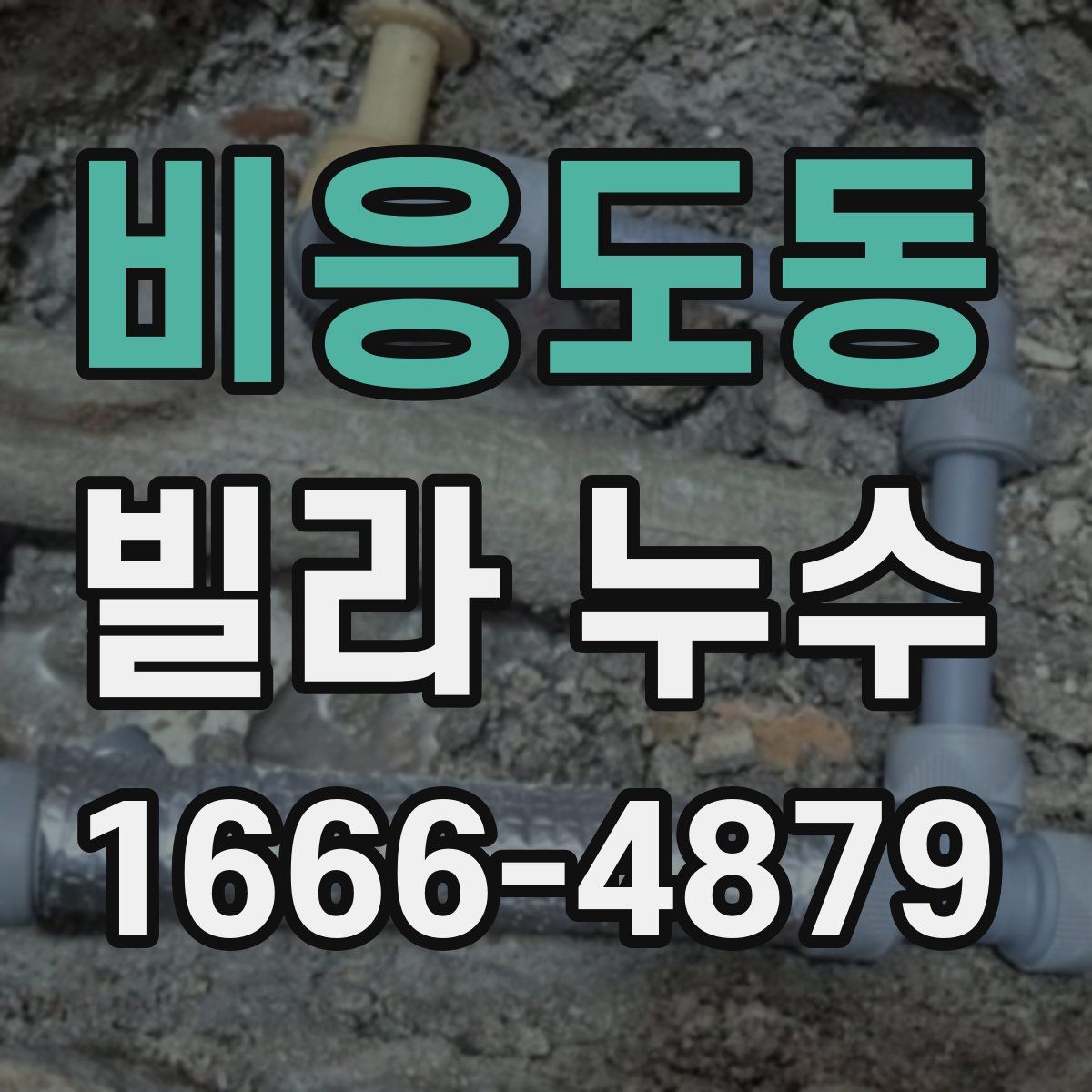 비응도동 빌라 누수