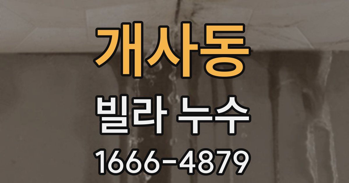 개사동 빌라 누수