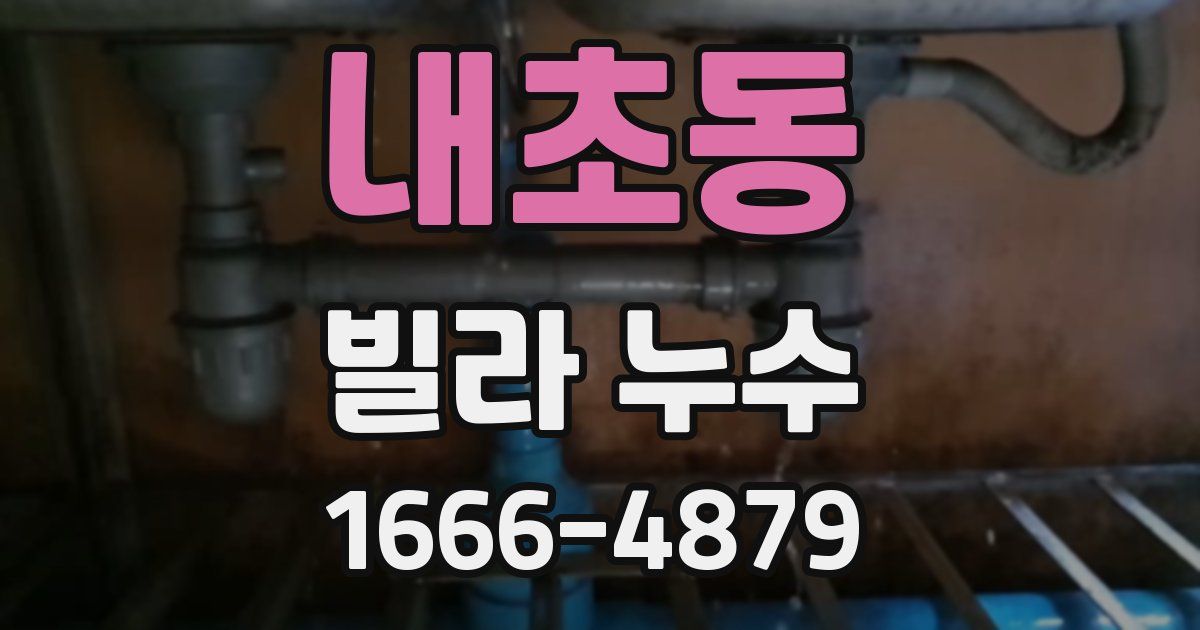 내초동 빌라 누수