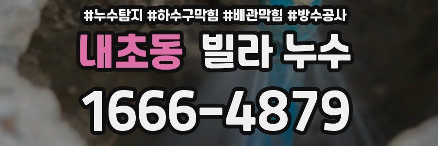 내초동 빌라 누수