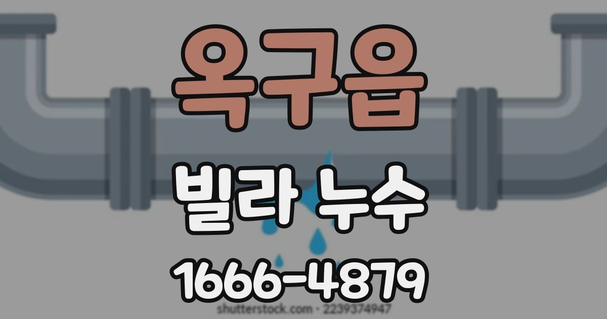 옥구읍 빌라 누수