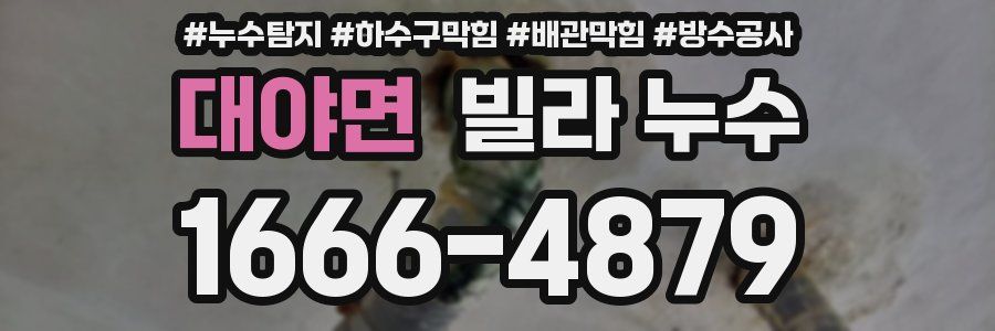 대야면 빌라 누수