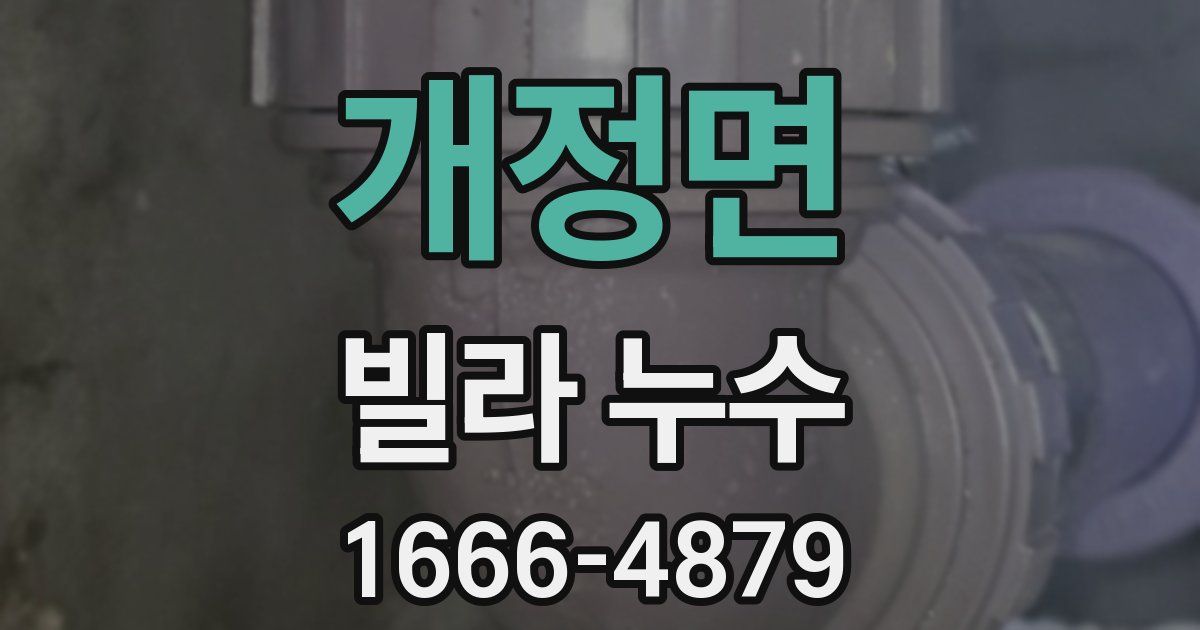 개정면 빌라 누수