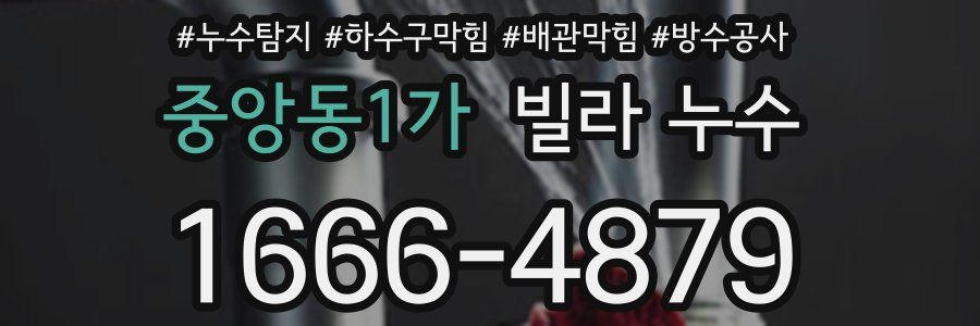 중앙동1가 빌라 누수