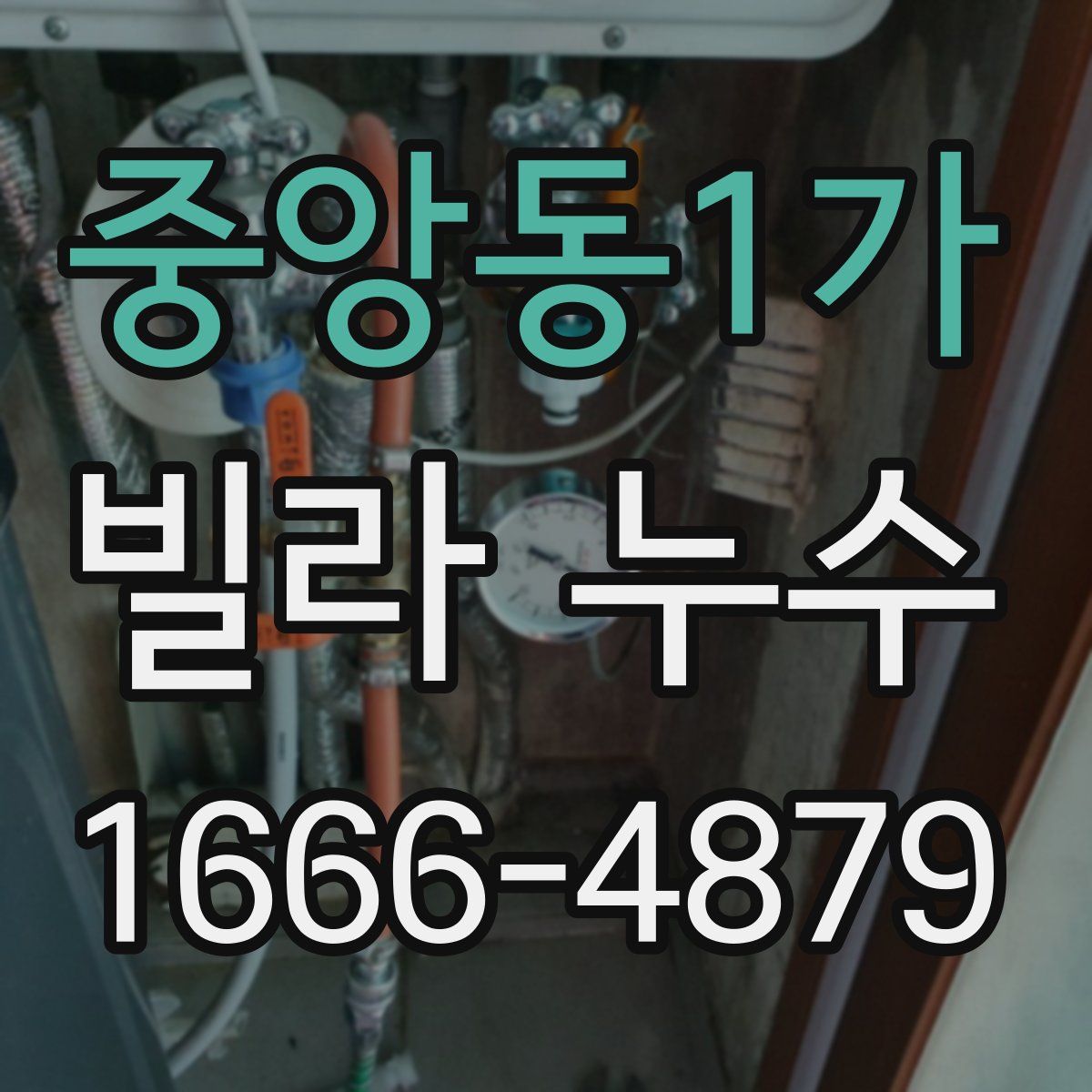중앙동1가 빌라 누수