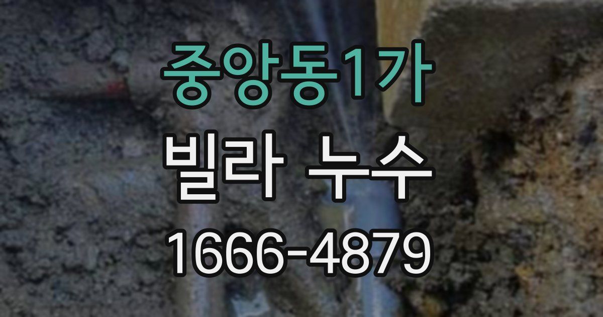 중앙동1가 빌라 누수