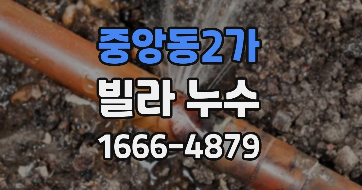 중앙동2가 빌라 누수
