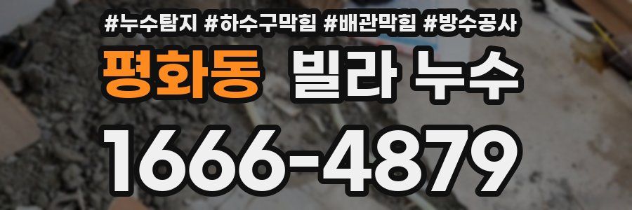 평화동 빌라 누수