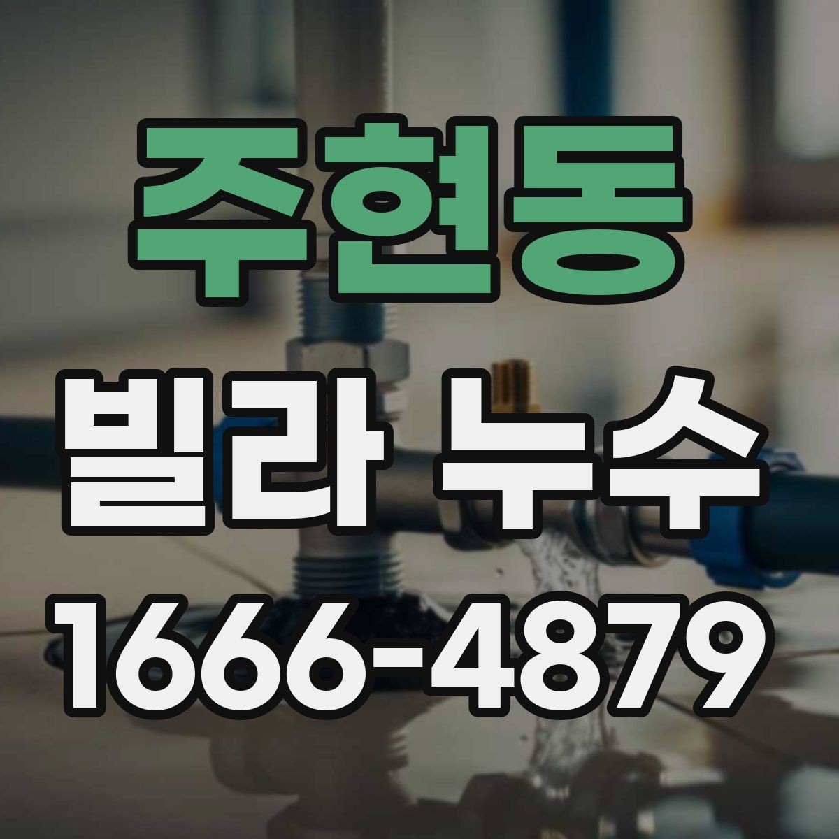 주현동 빌라 누수 겨울과 여름 점검 포인트가 다른 이유