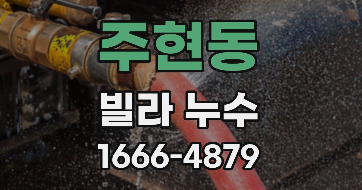 주현동 빌라 누수