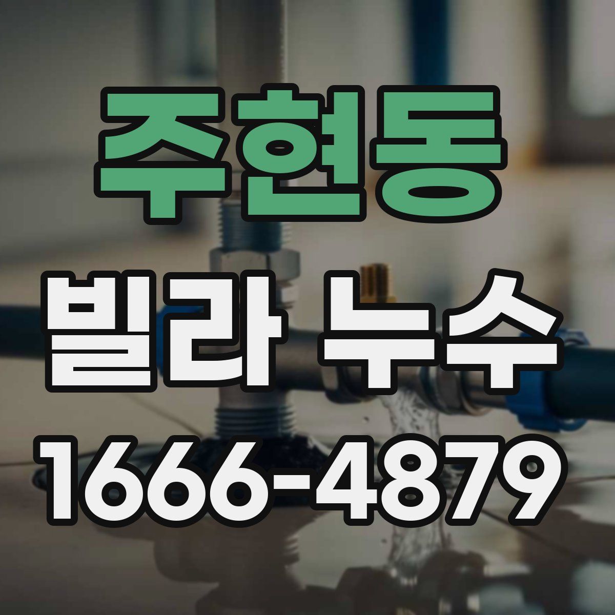 주현동 빌라 누수