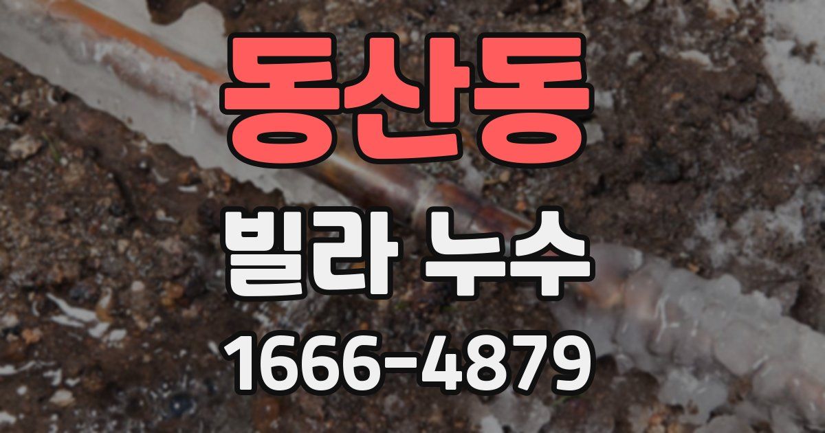 동산동 빌라 누수