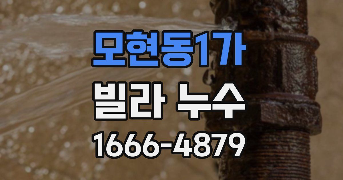 모현동1가 빌라 누수