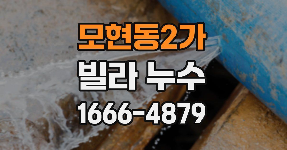모현동2가 빌라 누수