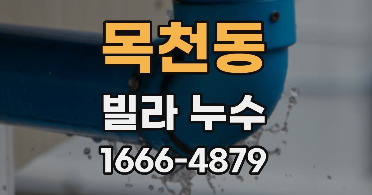 목천동 빌라 누수