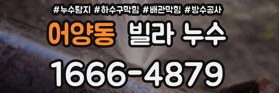 어양동 빌라 누수