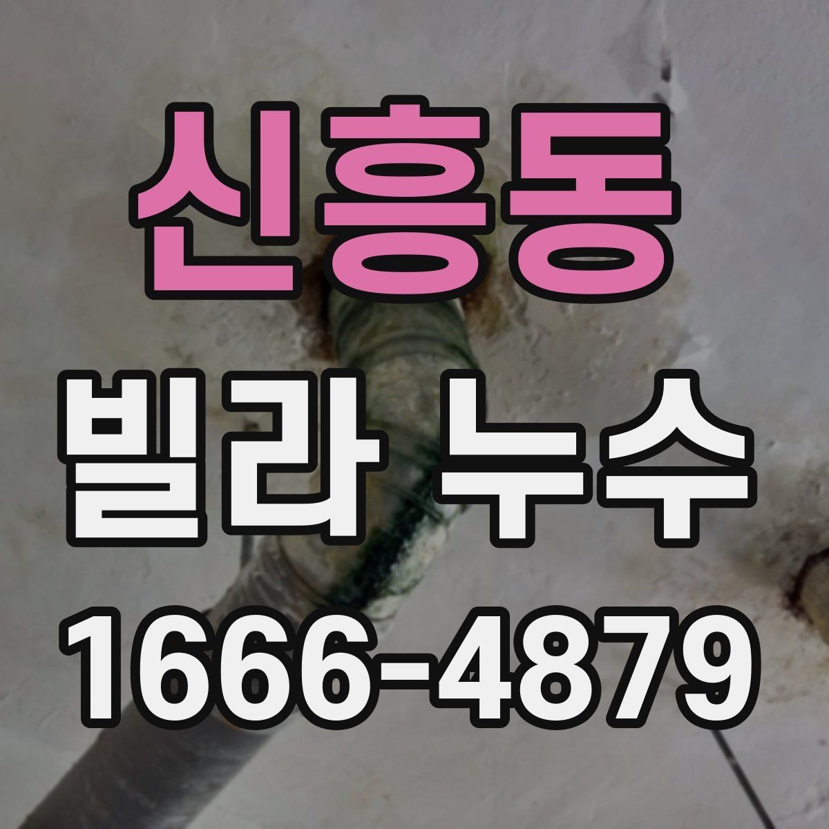 신흥동 빌라 누수 현장 조사에서 중요한 체크포인트