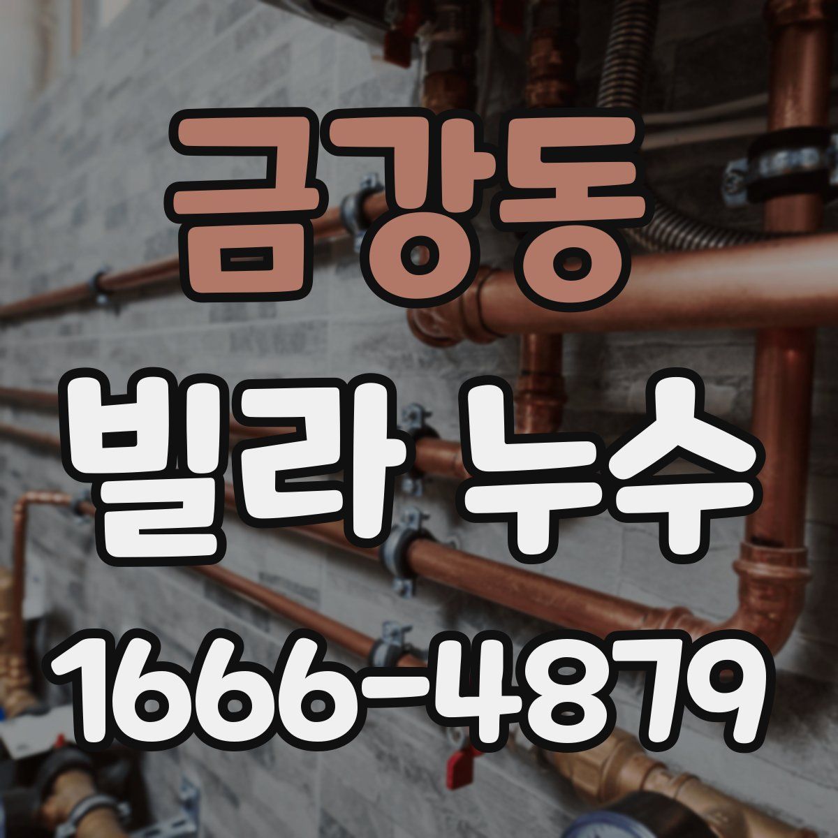 금강동 빌라 누수
