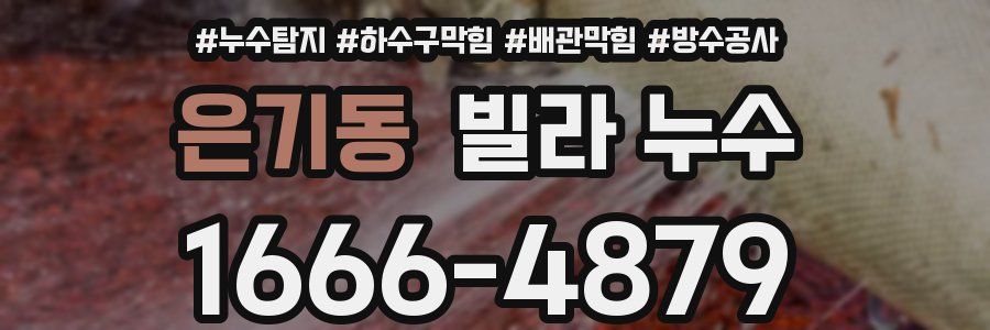 은기동 빌라 누수