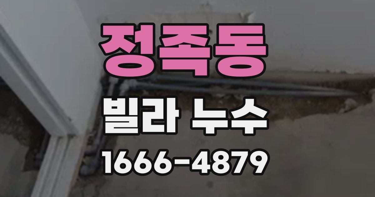 정족동 빌라 누수