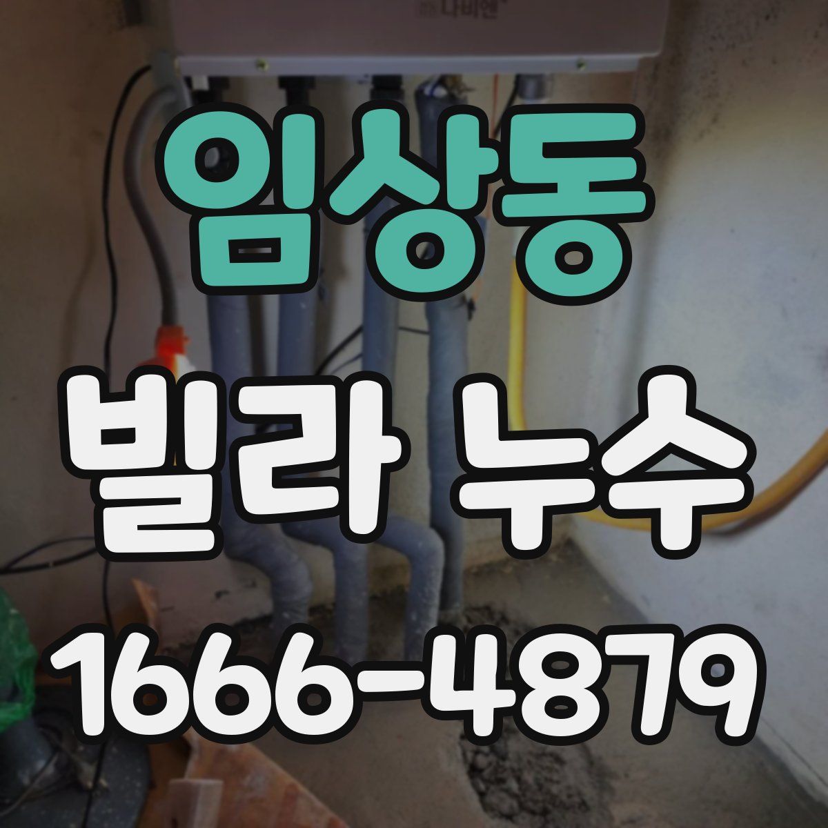 임상동 빌라 누수