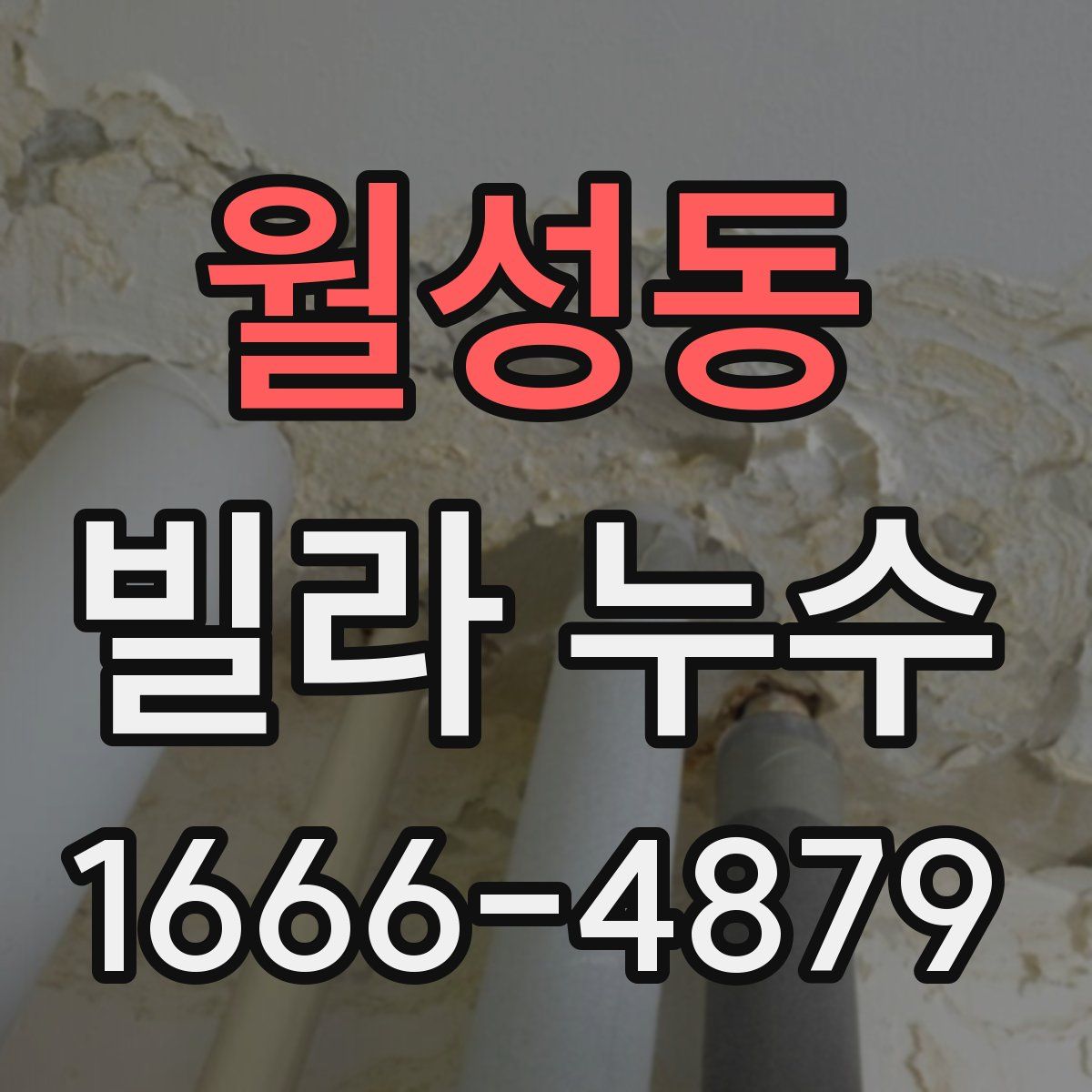 월성동 빌라 누수