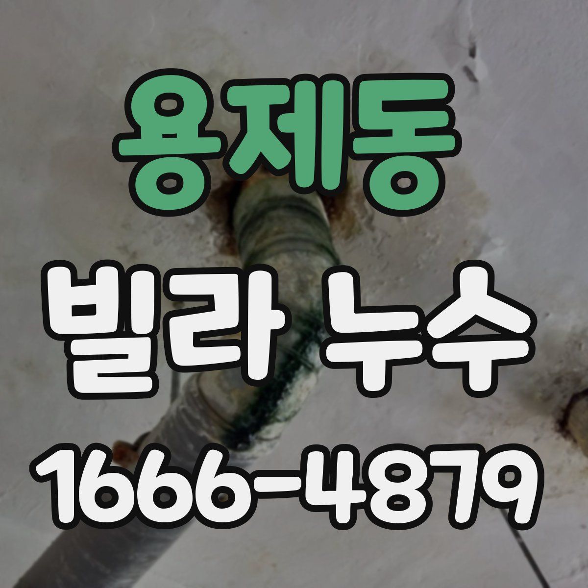 용제동 빌라 누수